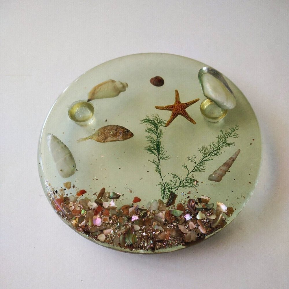 Vintage Lucite Sea Shell Star Fish 6.5" Coastal Nautical Trivet, Free US Ship
